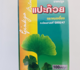 Капсулы Гинго Билоба (Ginkgo Biloba&Ginseng) тонизирующее средство для мозга 100 шт.